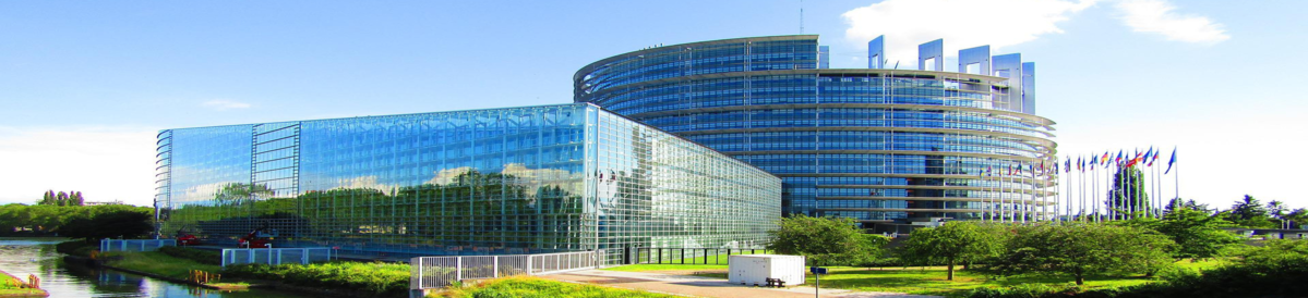 Bureau Cabinet-Roux de Strasbourg