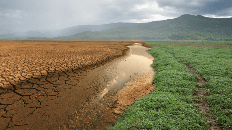 analyse vulnerabilite risques climatiques entreprise