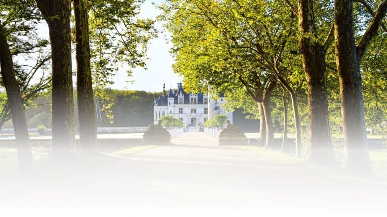 Edifice - expertice patrimoine d'exception
